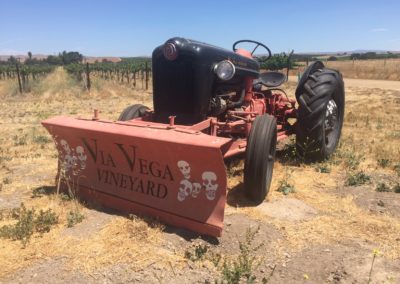 Via Vega - Paso Robles