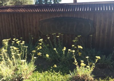 Treana - Paso Robles